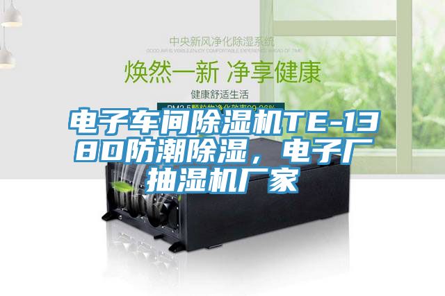 亚洲欧美一级特黄大片 电子车间除湿机TE-138D防潮除湿，电子厂抽湿机厂家