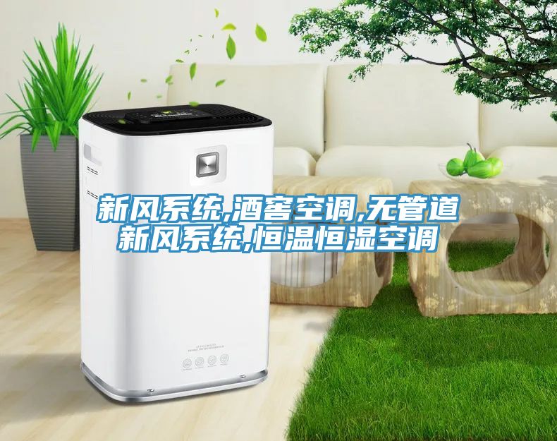 亚洲人成综合第一网站 新风系统,酒窖空调,无管道新风系统,恒温恒湿空调