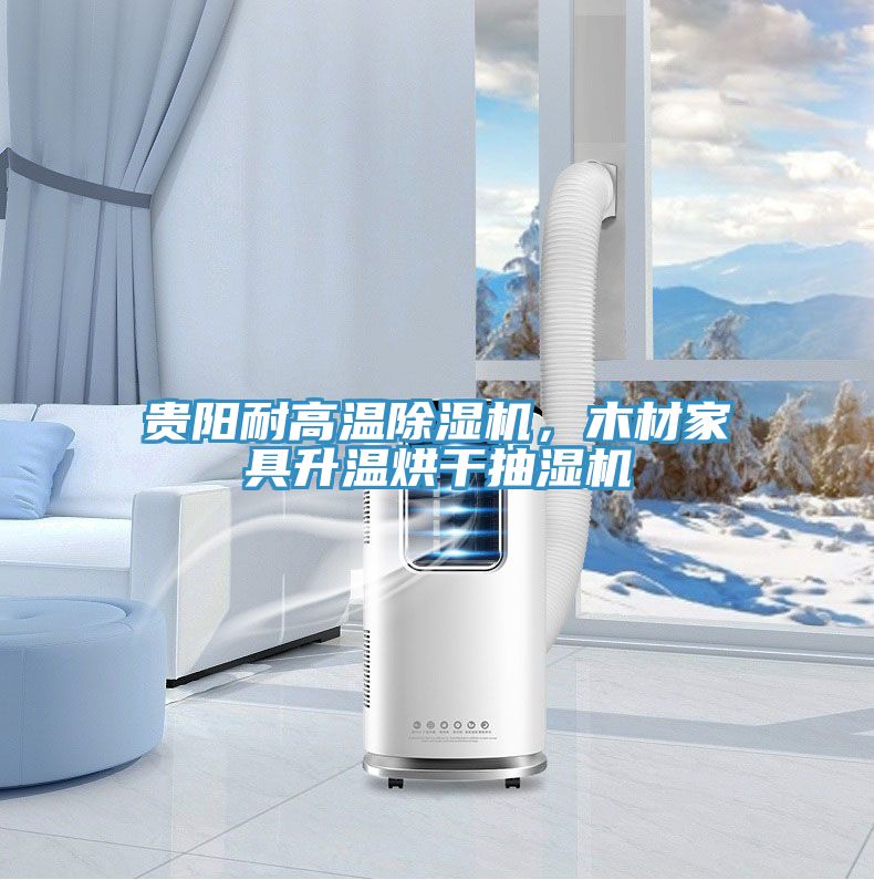 亚洲人成综合第一网站 贵阳耐高温除湿机，木材家具升温烘干抽湿机