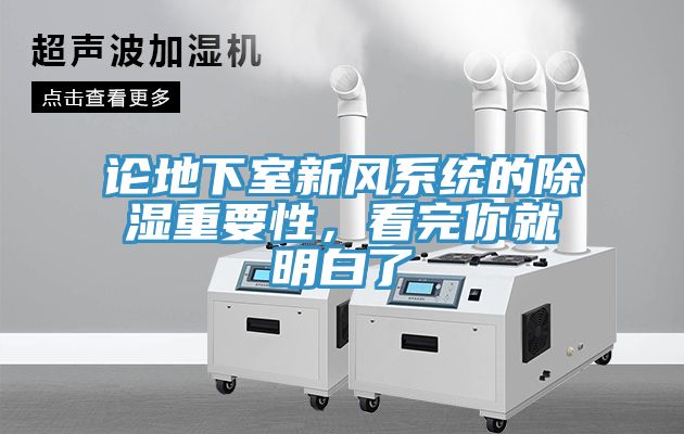 亚洲欧美一级特黄大片 论地下室新风系统的除湿重要性，看完你就明白了