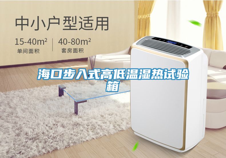 亚洲人成综合第一网站 海口步入式高低温湿热试验箱