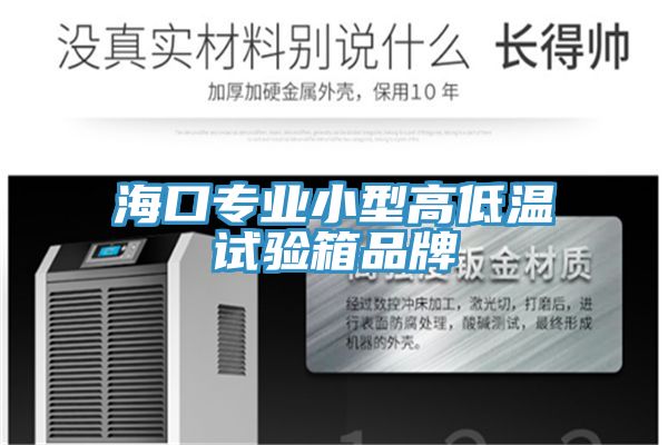 亚洲乱码一区二区三区 海口专业小型高低温试验箱品牌