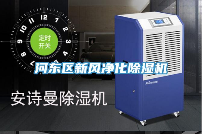 亚洲欧美一级特黄大片 河东区新风净化除湿机