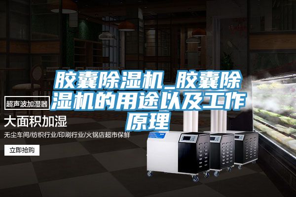 亚洲人成综合第一网站 胶囊除湿机_胶囊除湿机的用途以及工作原理