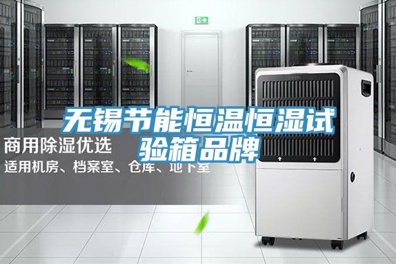 亚洲人成综合第一网站 无锡节能恒温恒湿试验箱品牌
