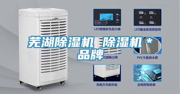 亚洲欧美一级特黄大片 芜湖除湿机 除湿机＊品牌