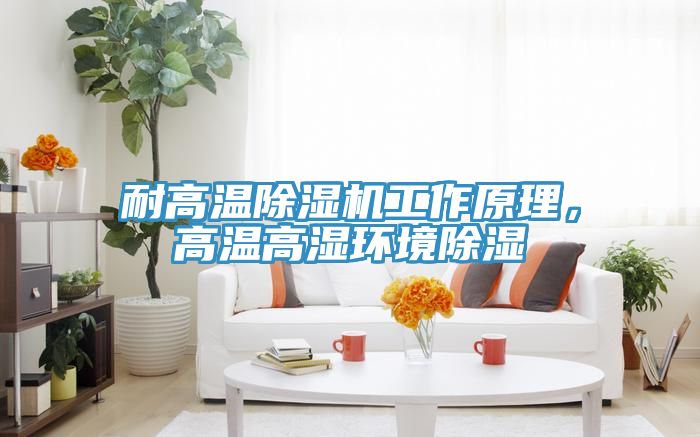 亚洲乱码一区二区三区 耐高温除湿机工作原理，高温高湿环境除湿