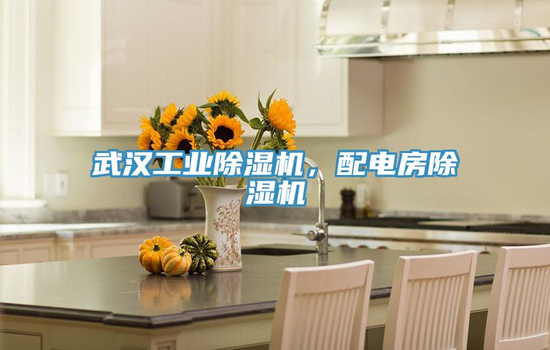 亚洲乱码一区二区三区 武汉工业除湿机，配电房除湿机