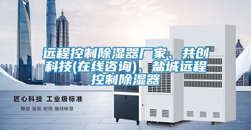 亚洲欧美一级特黄大片 远程控制除湿器厂家、共创科技(在线咨询)、盐城远程控制除湿器
