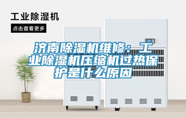 亚洲人成综合第一网站 济南除湿机维修：工业除湿机压缩机过热保护是什么原因