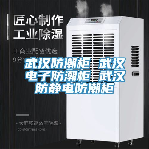 亚洲乱码一区二区三区 武汉防潮柜 武汉电子防潮柜 武汉防静电防潮柜
