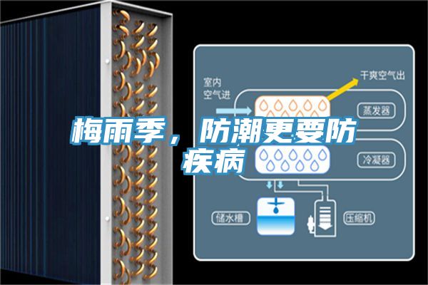亚洲人成综合第一网站 梅雨季，防潮更要防疾病