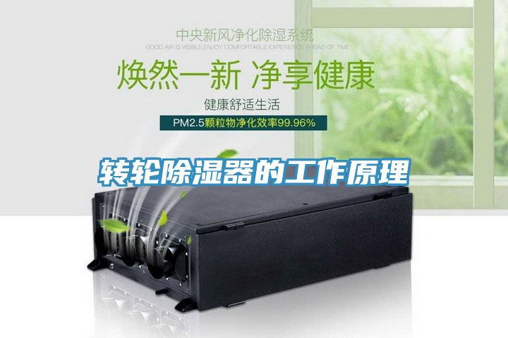亚洲人成综合第一网站 转轮除湿器的工作原理