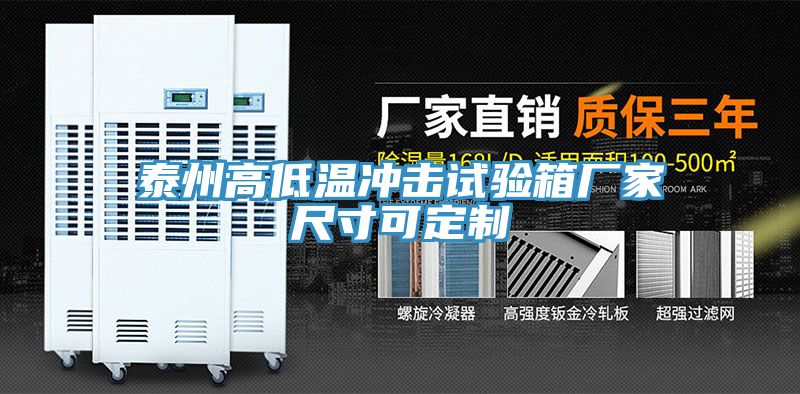 亚洲欧美一级特黄大片 泰州高低温冲击试验箱厂家尺寸可定制