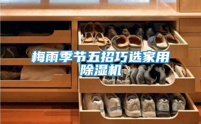 亚洲乱码一区二区三区 梅雨季节五招巧选家用除湿机