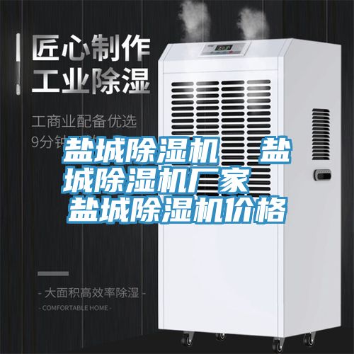 亚洲欧美一级特黄大片 盐城除湿机  盐城除湿机厂家  盐城除湿机价格