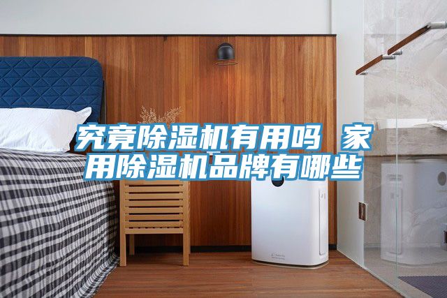 亚洲人成综合第一网站 究竟除湿机有用吗 家用除湿机品牌有哪些