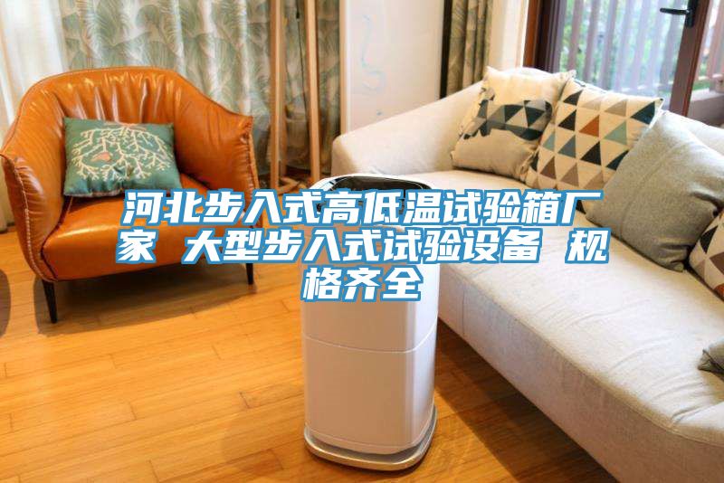亚洲人成综合第一网站 河北步入式高低温试验箱厂家 大型步入式试验设备 规格齐全