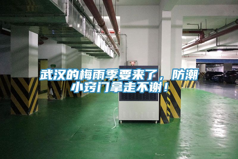 亚洲乱码一区二区三区 武汉的梅雨季要来了，防潮小窍门拿走不谢！