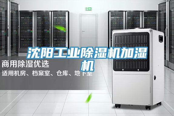 亚洲人成综合第一网站 沈阳工业除湿机加湿机