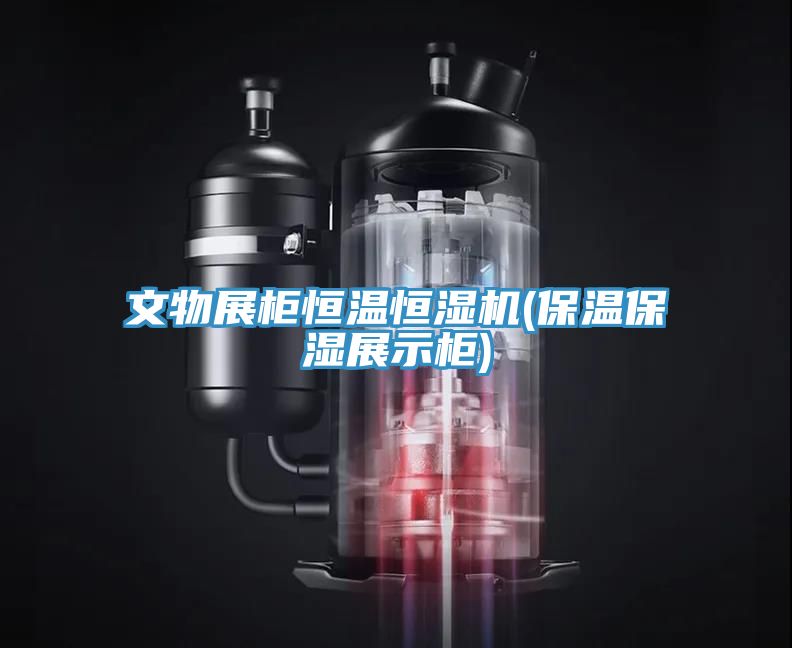 亚洲乱码一区二区三区 文物展柜恒温恒湿机(保温保湿展示柜)