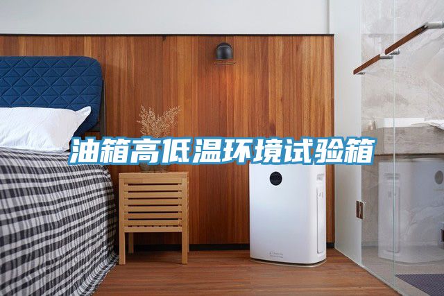 亚洲人成综合第一网站 油箱高低温环境试验箱