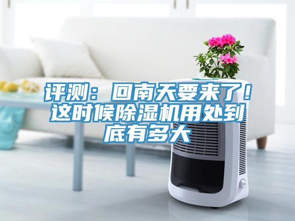 亚洲人成综合第一网站 评测：回南天要来了！这时候除湿机用处到底有多大
