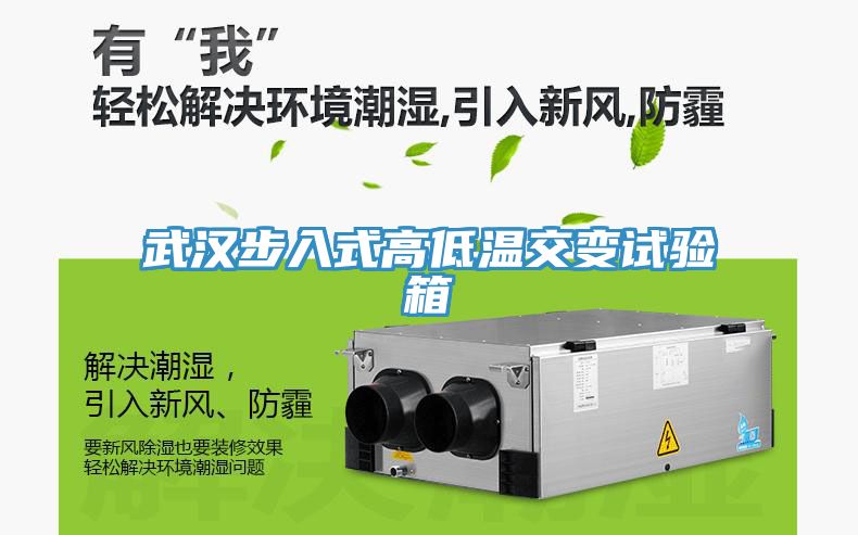 亚洲人成综合第一网站 武汉步入式高低温交变试验箱