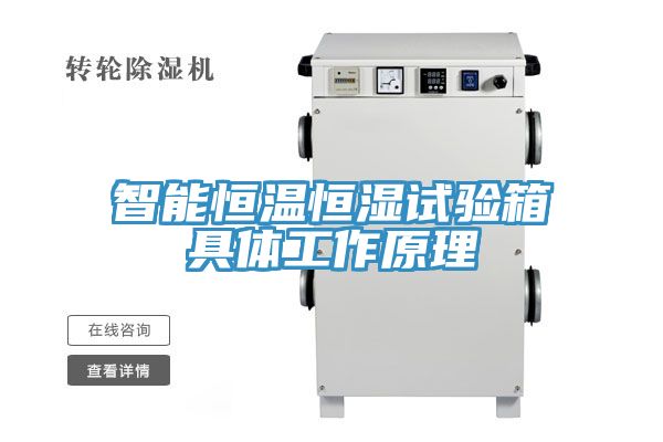 亚洲乱码一区二区三区 智能恒温恒湿试验箱具体工作原理