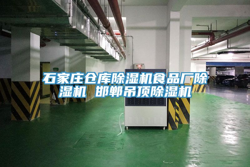亚洲人成综合第一网站 石家庄仓库除湿机食品厂除湿机 邯郸吊顶除湿机