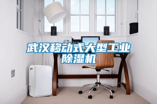 亚洲欧美一级特黄大片 武汉移动式大型工业除湿机