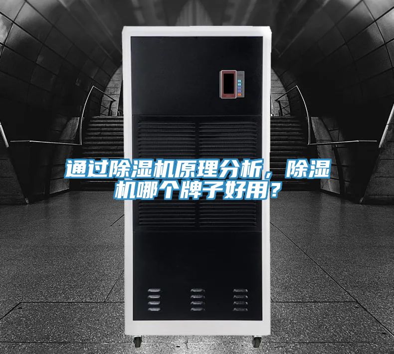 亚洲欧美一级特黄大片 通过除湿机原理分析，除湿机哪个牌子好用？