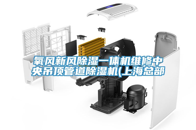 亚洲人成综合第一网站 氧风新风除湿一体机维修中央吊顶管道除湿机(上海总部