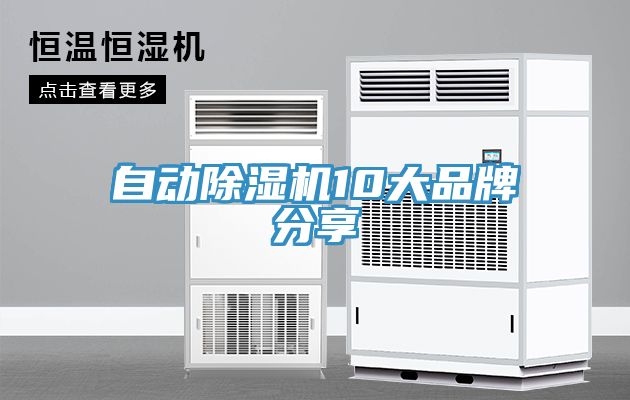 亚洲欧美一级特黄大片 自动除湿机10大品牌分享