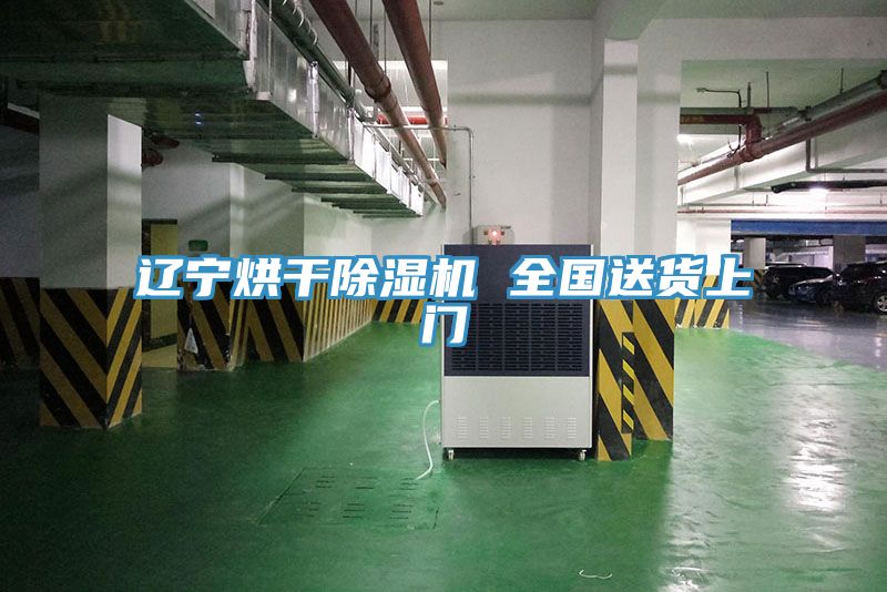 亚洲人成综合第一网站 辽宁烘干除湿机 全国送货上门