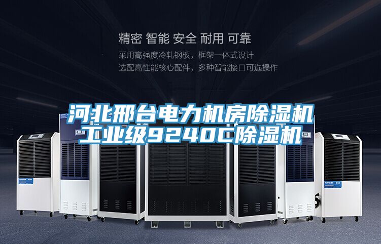 亚洲人成综合第一网站 河北邢台电力机房除湿机工业级9240C除湿机