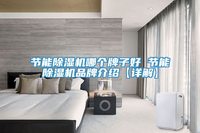 亚洲人成综合第一网站 节能除湿机哪个牌子好 节能除湿机品牌介绍【详解】