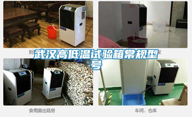 亚洲乱码一区二区三区 武汉高低温试验箱常规型号