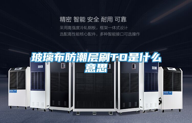 亚洲人成综合第一网站 玻璃布防潮层刷TO是什么意思