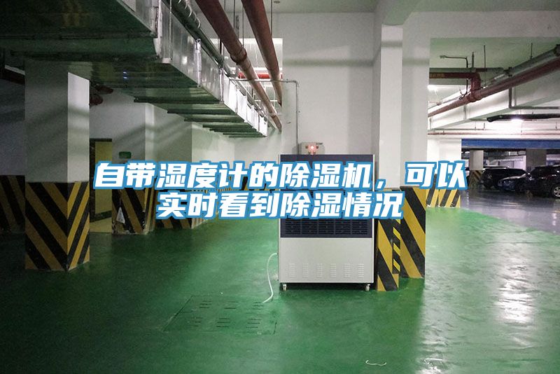 亚洲人成综合第一网站 自带湿度计的除湿机，可以实时看到除湿情况