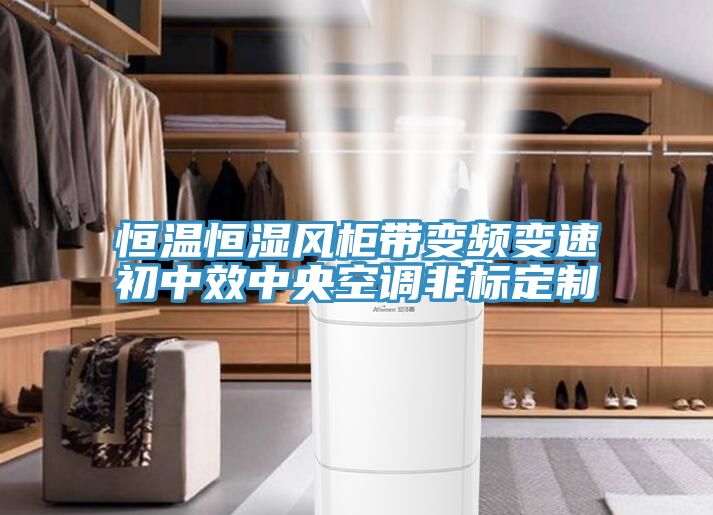 亚洲欧美一级特黄大片 恒温恒湿风柜带变频变速初中效中央空调非标定制