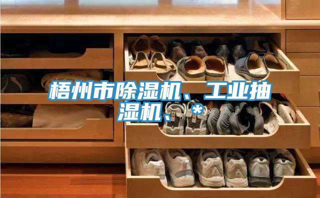 亚洲人成综合第一网站 梧州市除湿机、工业抽湿机、＊