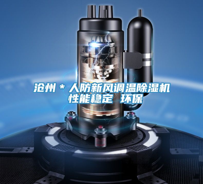 亚洲欧美一级特黄大片 沧州＊人防新风调温除湿机 性能稳定 环保