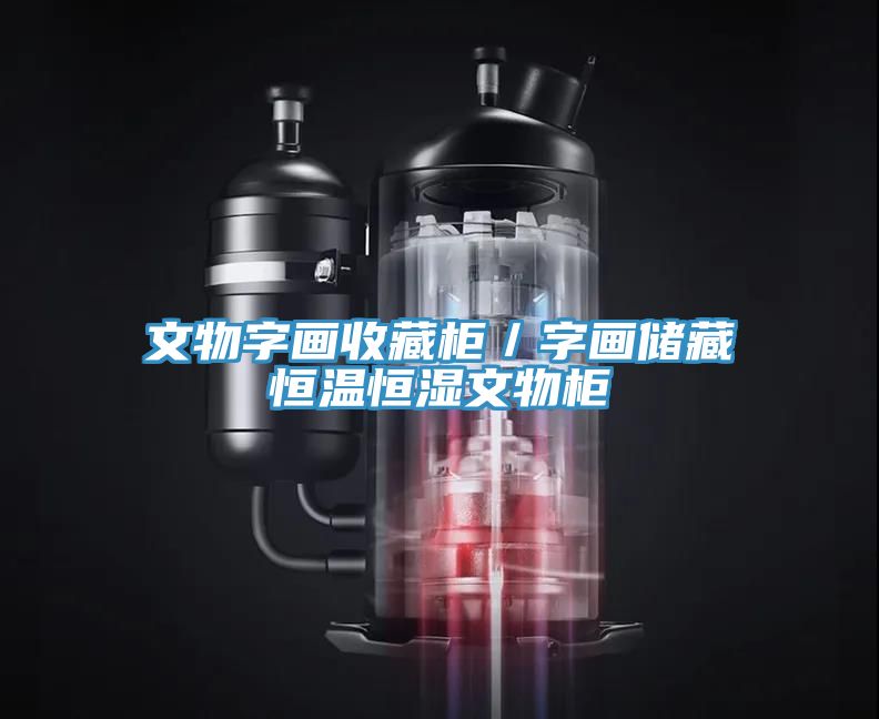 亚洲人成综合第一网站 文物字画收藏柜／字画储藏恒温恒湿文物柜