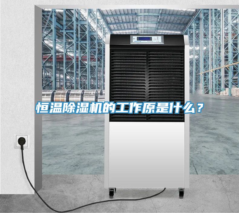 亚洲乱码一区二区三区 恒温除湿机的工作原是什么？