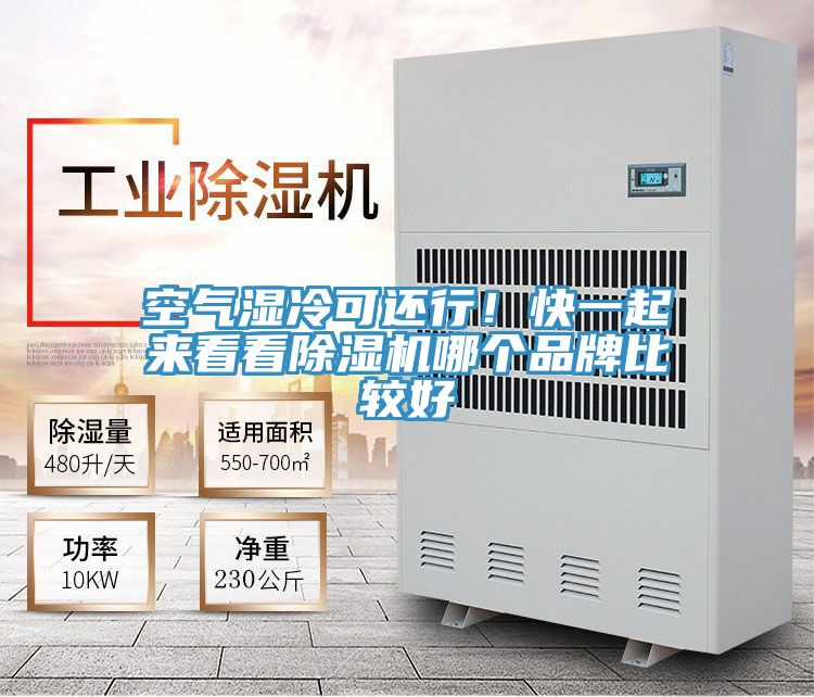 亚洲欧美一级特黄大片 空气湿冷可还行！快一起来看看除湿机哪个品牌比较好