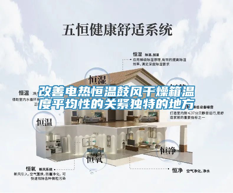 亚洲欧美一级特黄大片 改善电热恒温鼓风干燥箱温度平均性的关紧独特的地方
