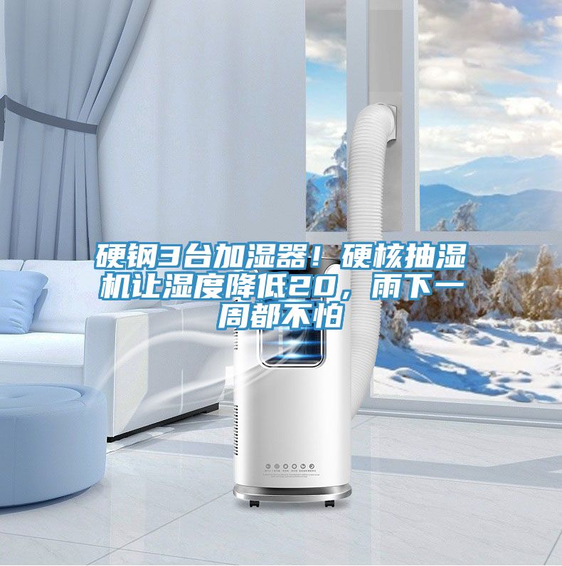 亚洲欧美一级特黄大片 硬钢3台加湿器！硬核抽湿机让湿度降低20，雨下一周都不怕