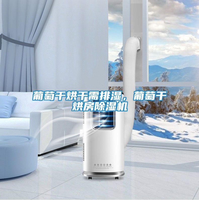 亚洲欧美一级特黄大片 葡萄干烘干需排湿，葡萄干烘房除湿机