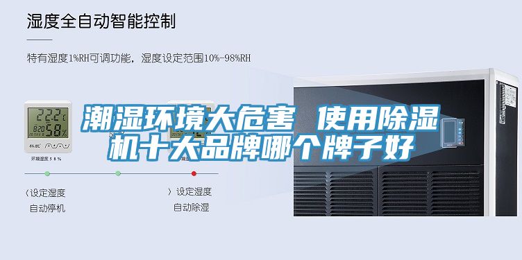 亚洲欧美一级特黄大片 潮湿环境大危害 使用除湿机十大品牌哪个牌子好